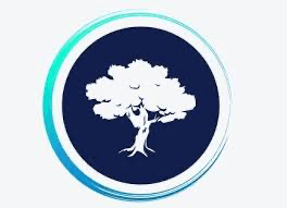 OVM Financial logo